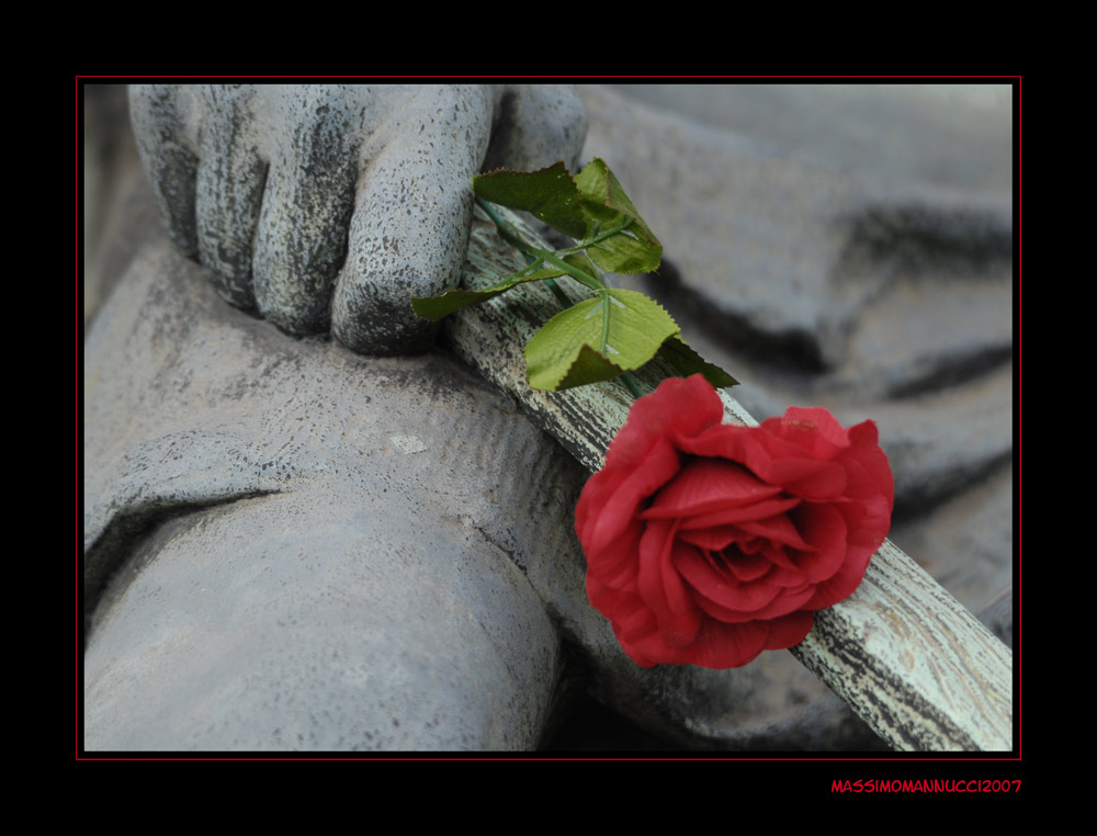 Fiori e pietre, colori e bianco e nero, vita e morte....