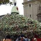 FIORI PER LA MADONNA DEL PILAR A SARAGOZZA