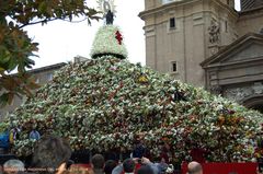 FIORI PER LA MADONNA DEL PILAR A SARAGOZZA