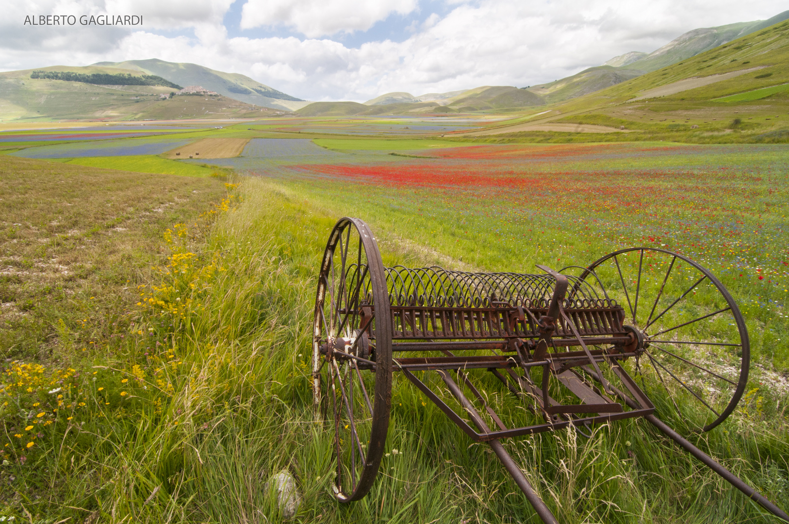 Fiorita di Castelluccio di Norcia