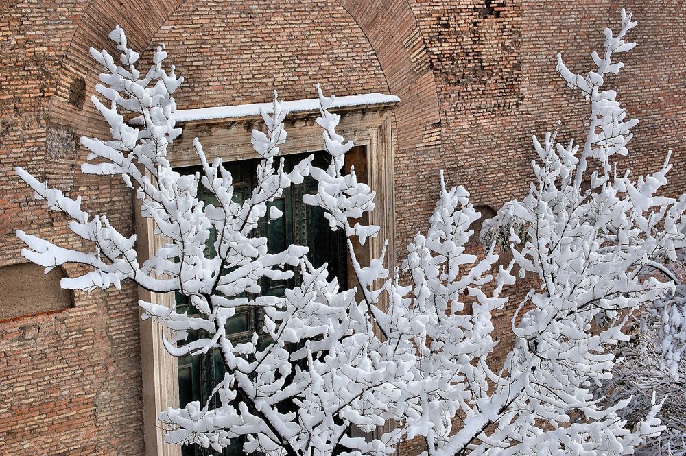 Fioritura di neve...