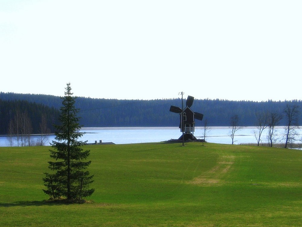 fir-tree and a mill