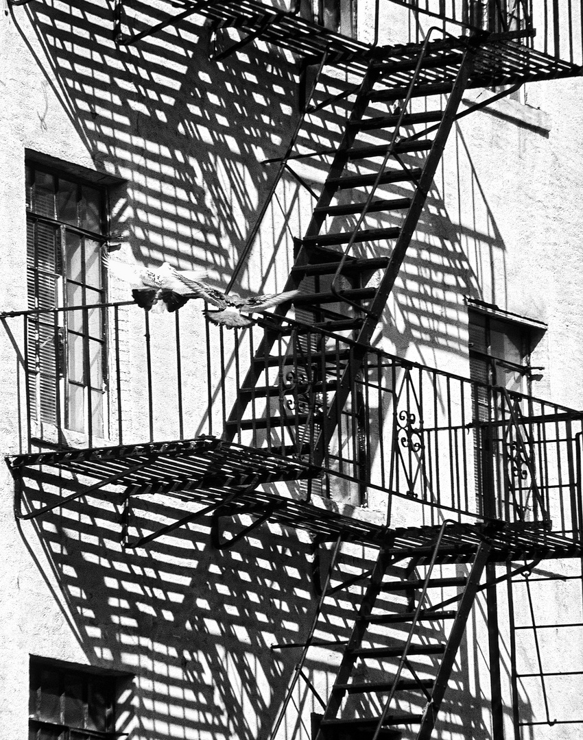 Fire Escapes (Fluchttreppen)