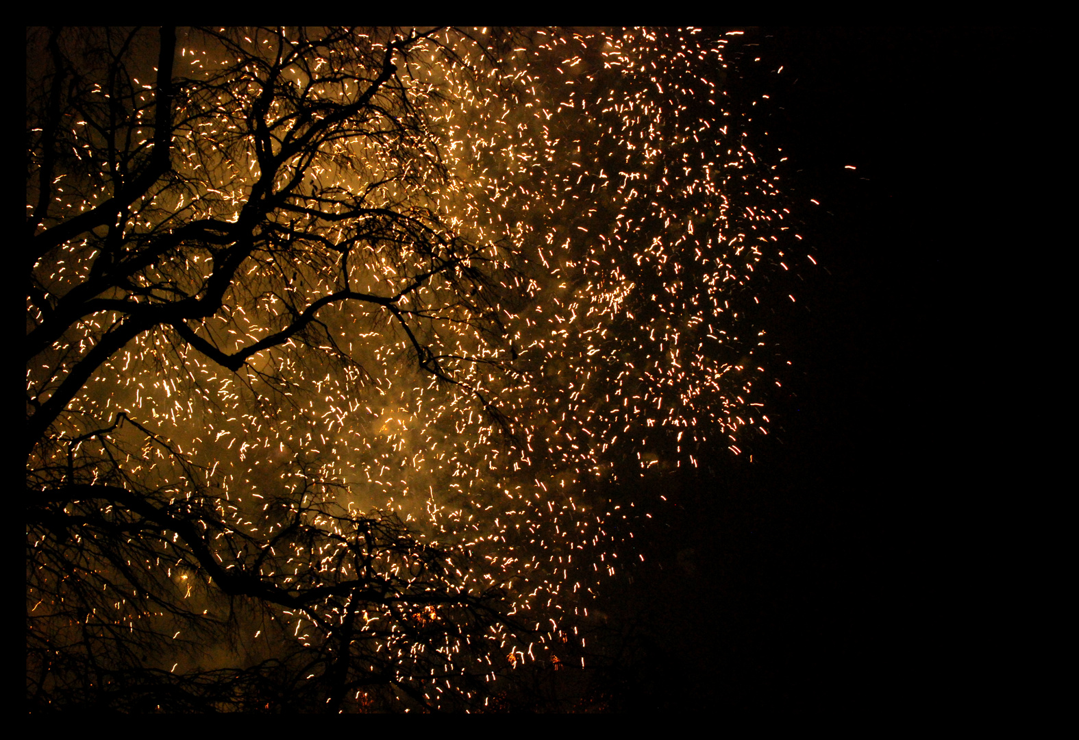 Fire Flies