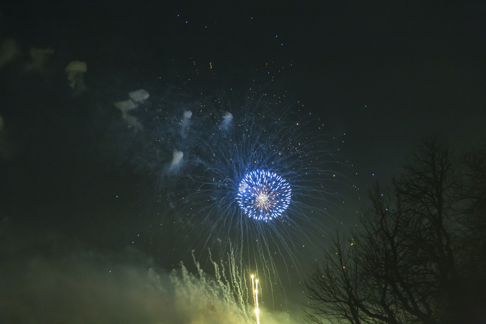 fire flower in the sky