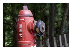 Fire Hydrant
