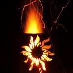 Fire in a flower