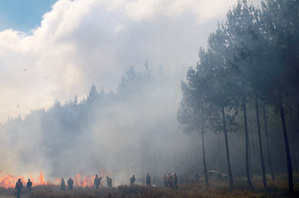 Fire in Mpumalanga