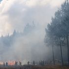 Fire in Mpumalanga