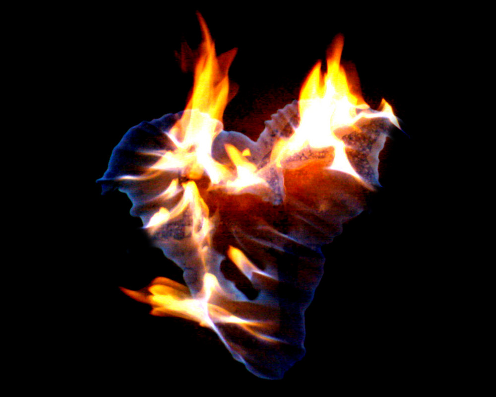 fire in the heart