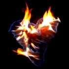 fire in the heart