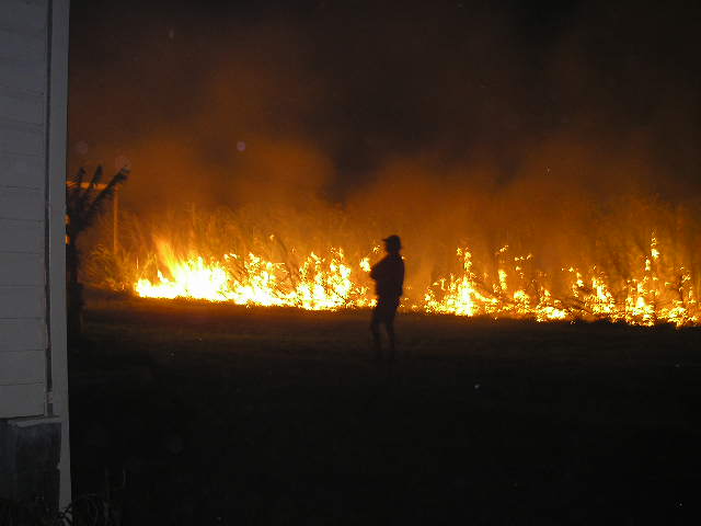 Fire in the night: cane harvest 1