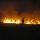 Fire in the night: cane harvest 1