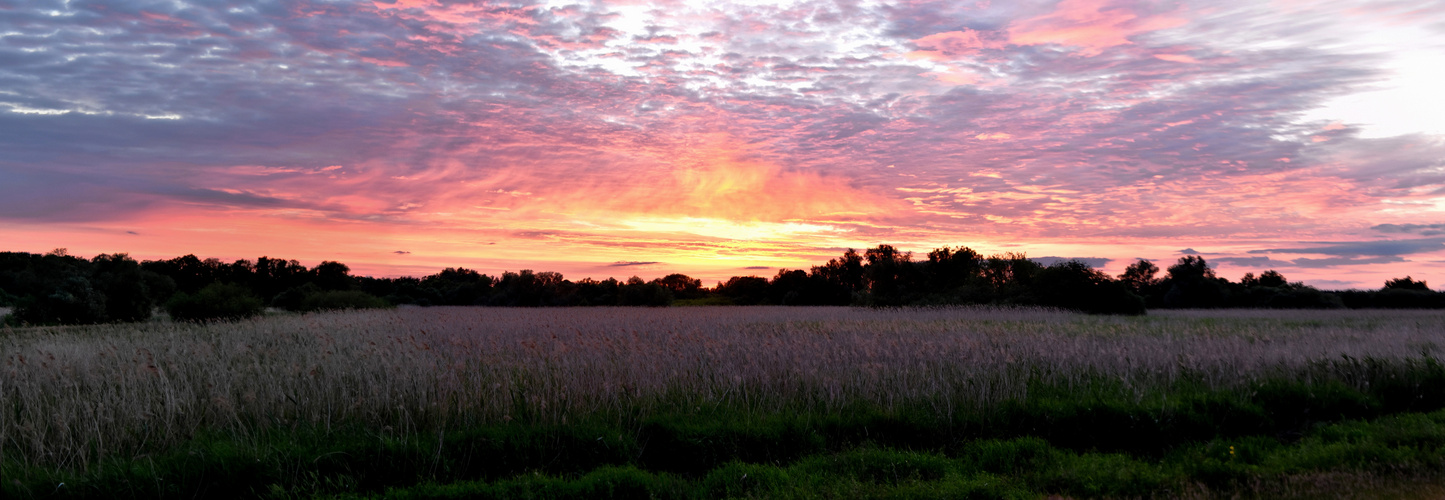 Fire in the sky ... (aufgehellte Version)