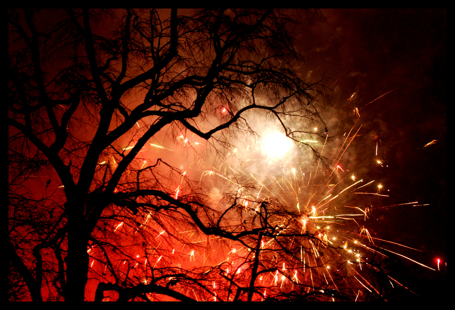 Fire Tree