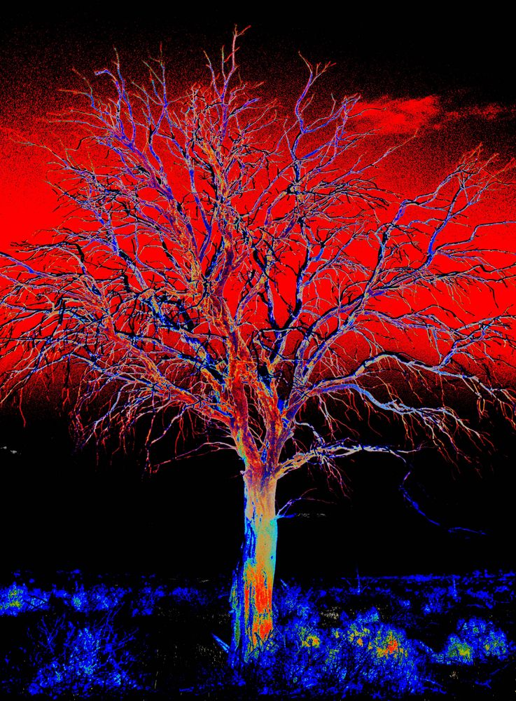 Fire tree