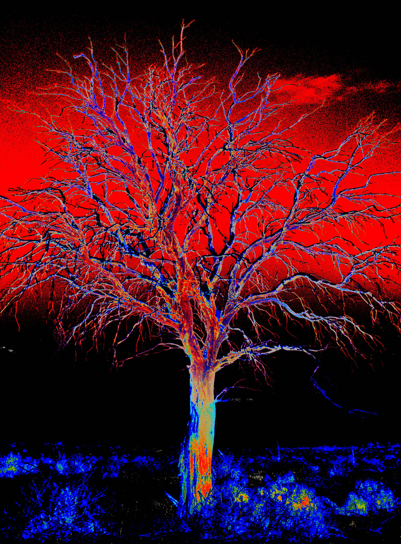 Fire tree