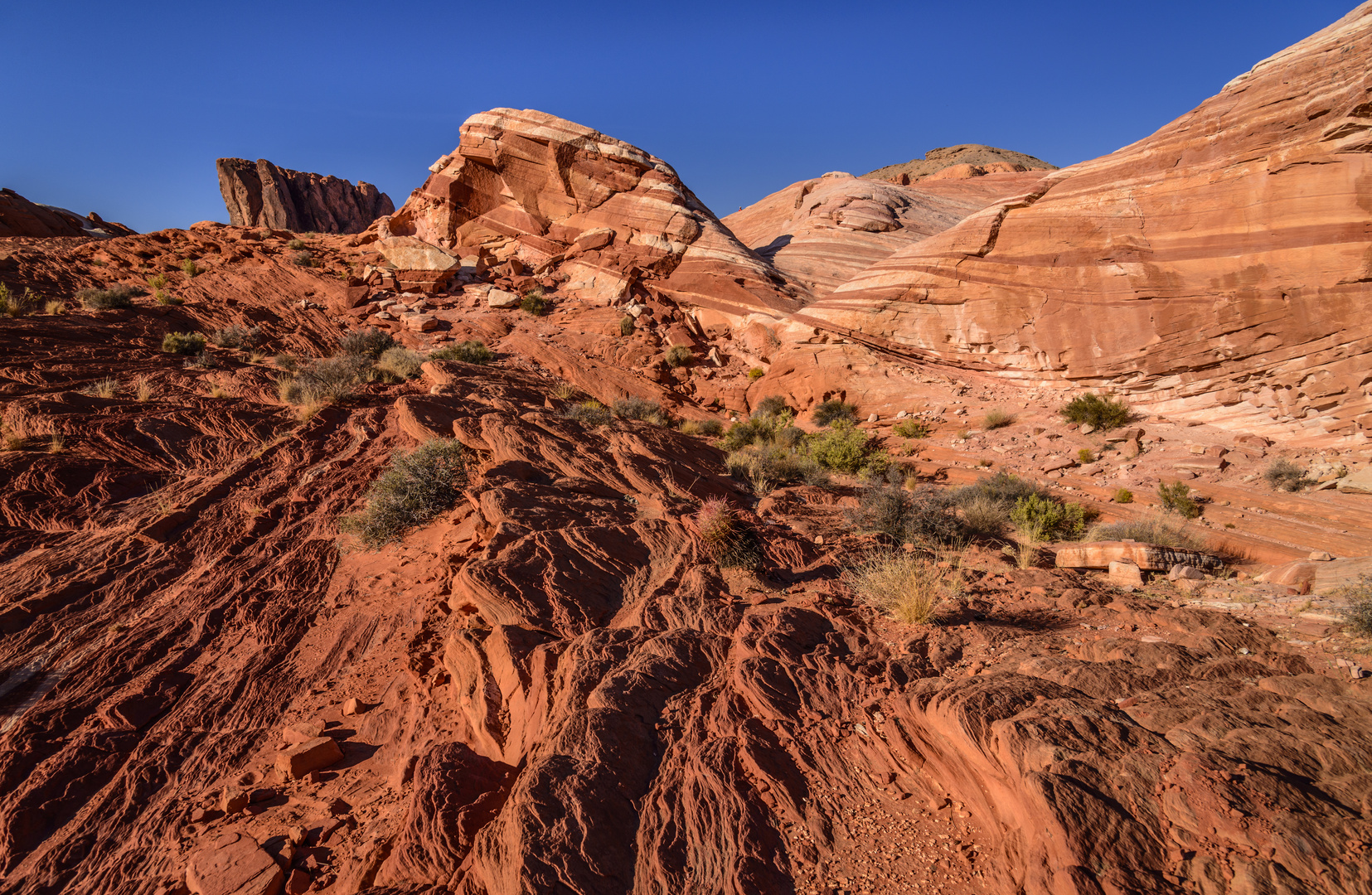 Fire Wave 1, Valley of Fire SP, Nevada, USA