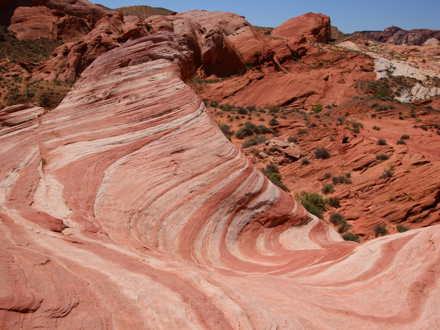 Fire Wave im Valley of Fire State Park