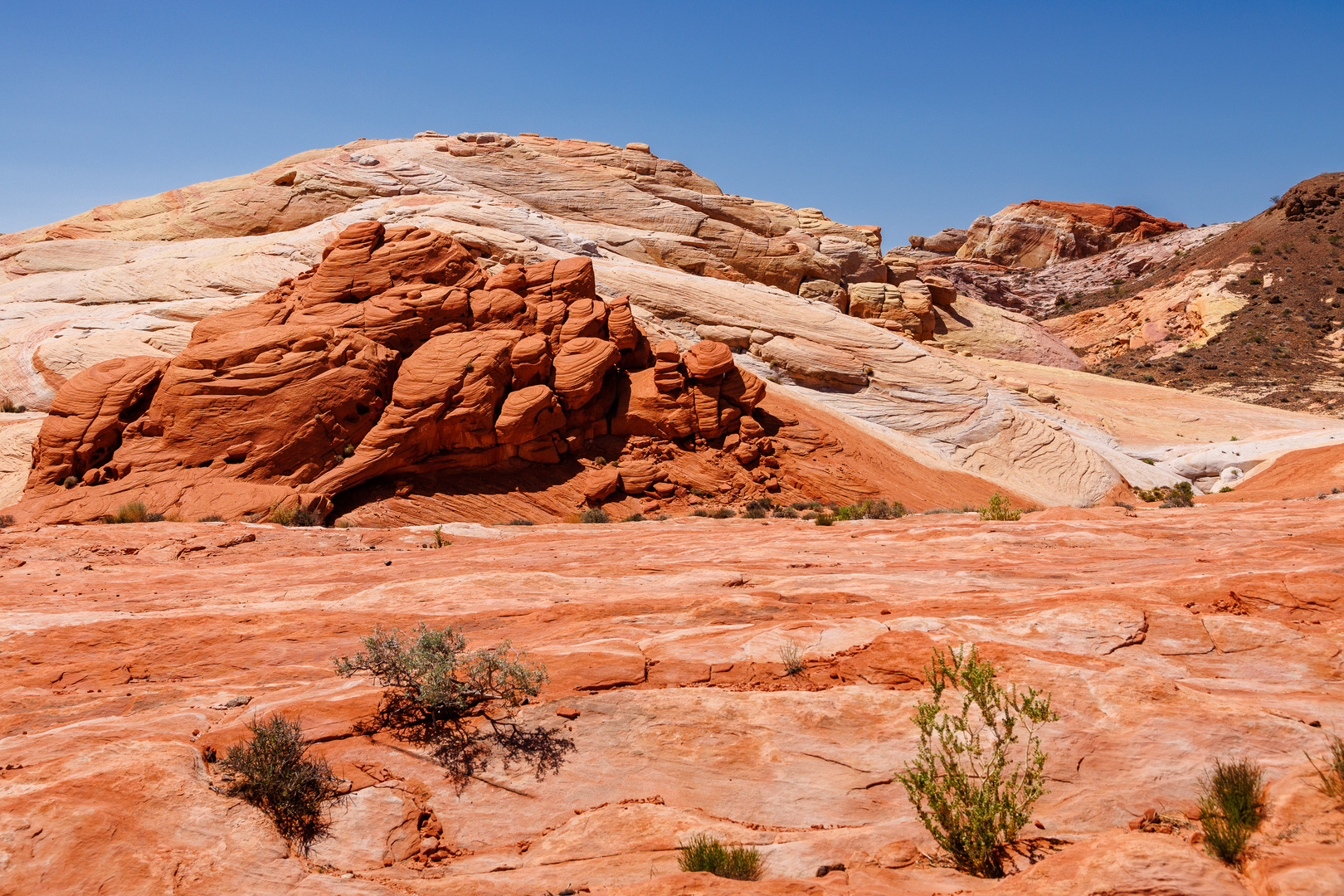 Fire wave state park Nevada