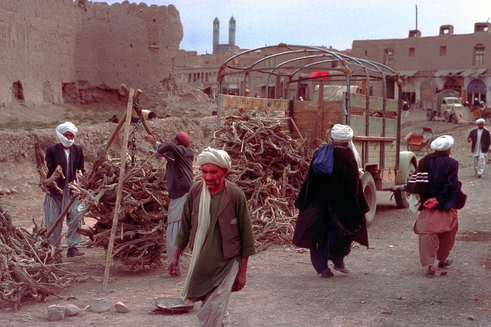 Fire wood sold for the winter time in Afghanistan