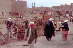 Fire wood sold for the winter time in Afghanistan