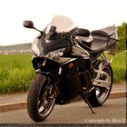 Fireblade 1000 SC57