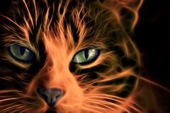 Firecat