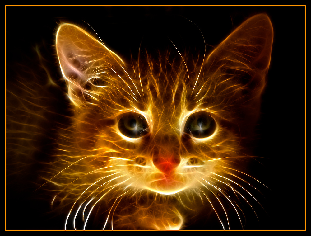 FireCat