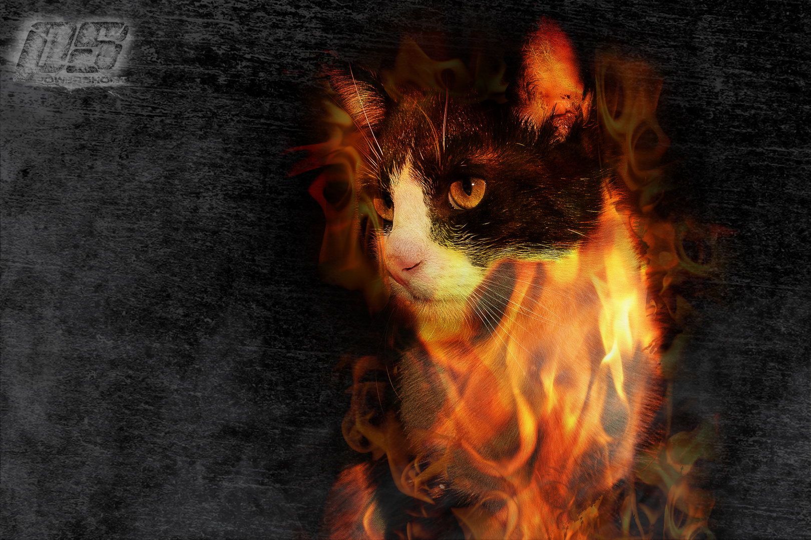 Firecat