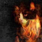 Firecat