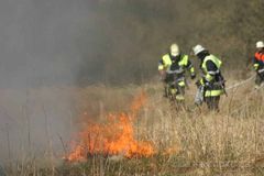 Firefighters in Action