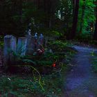 Fireflies on Cemetery