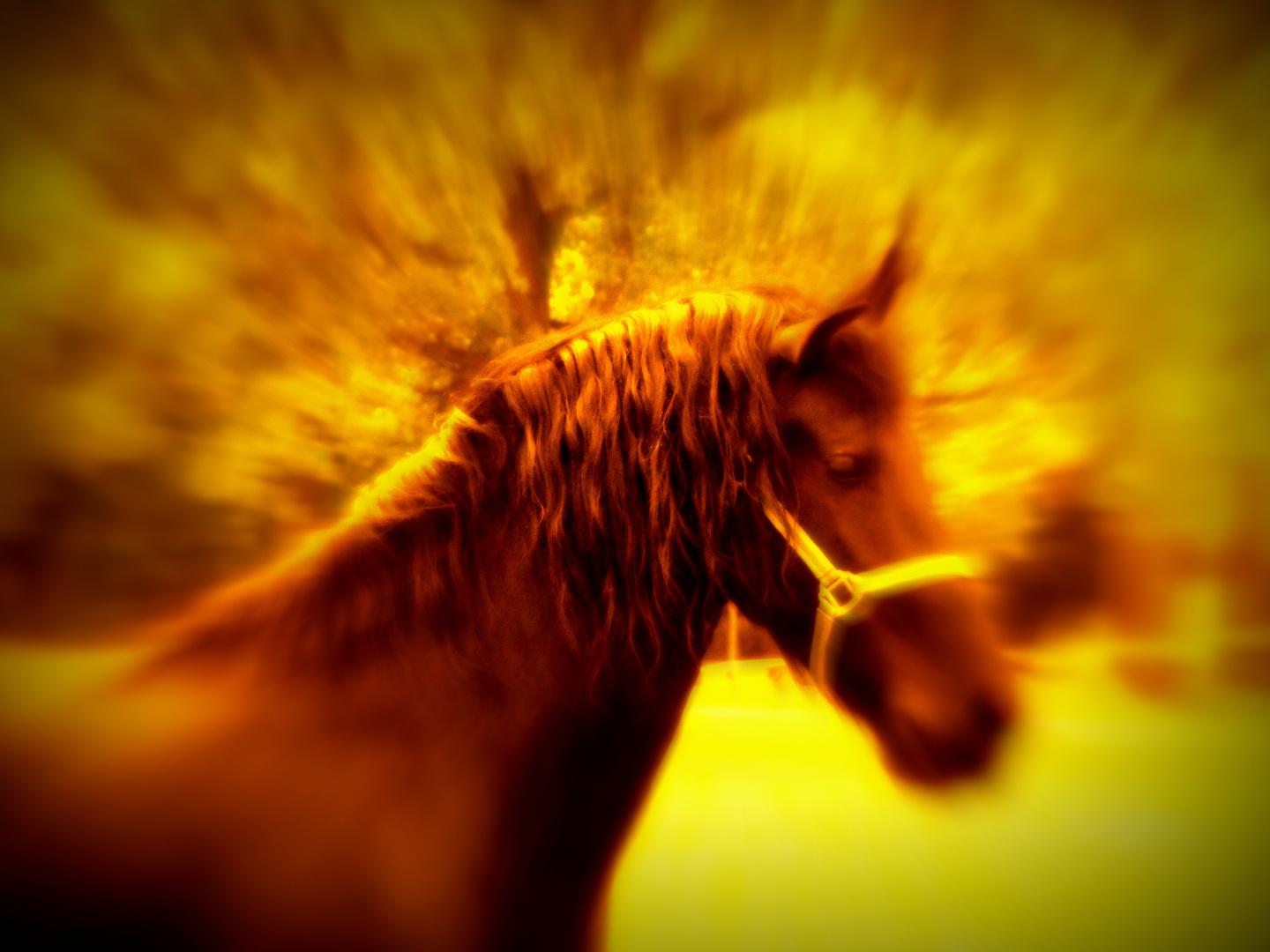 firehorse