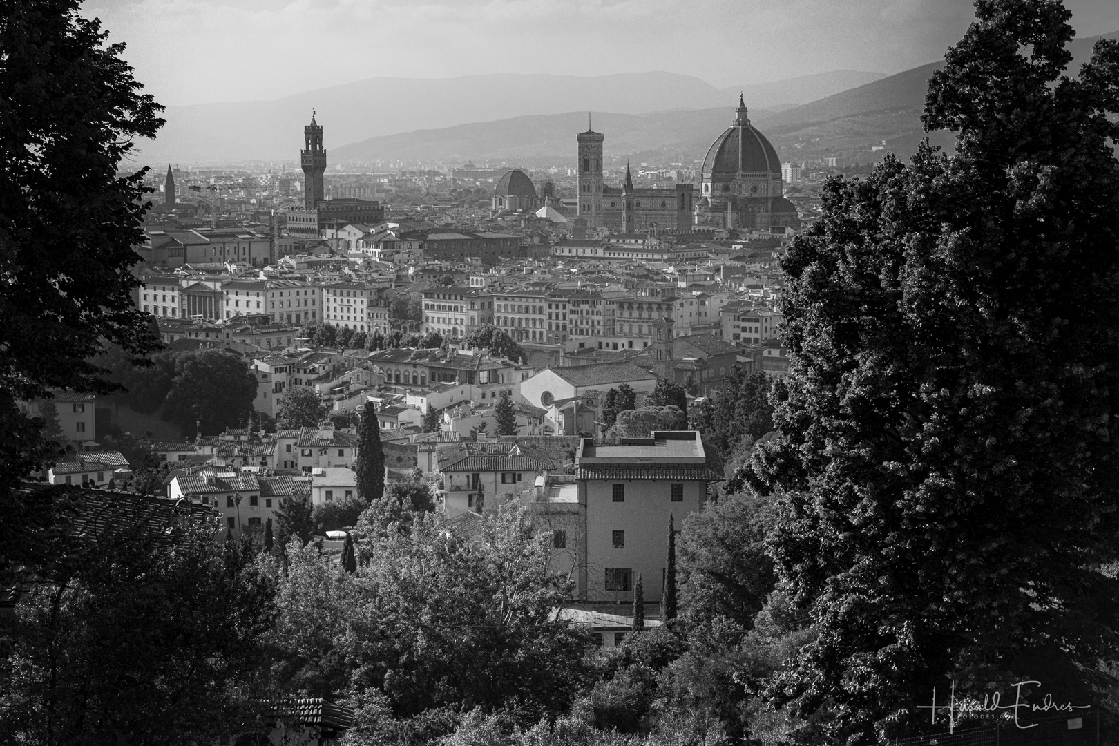 Firenze