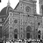 ~ Firenze ~