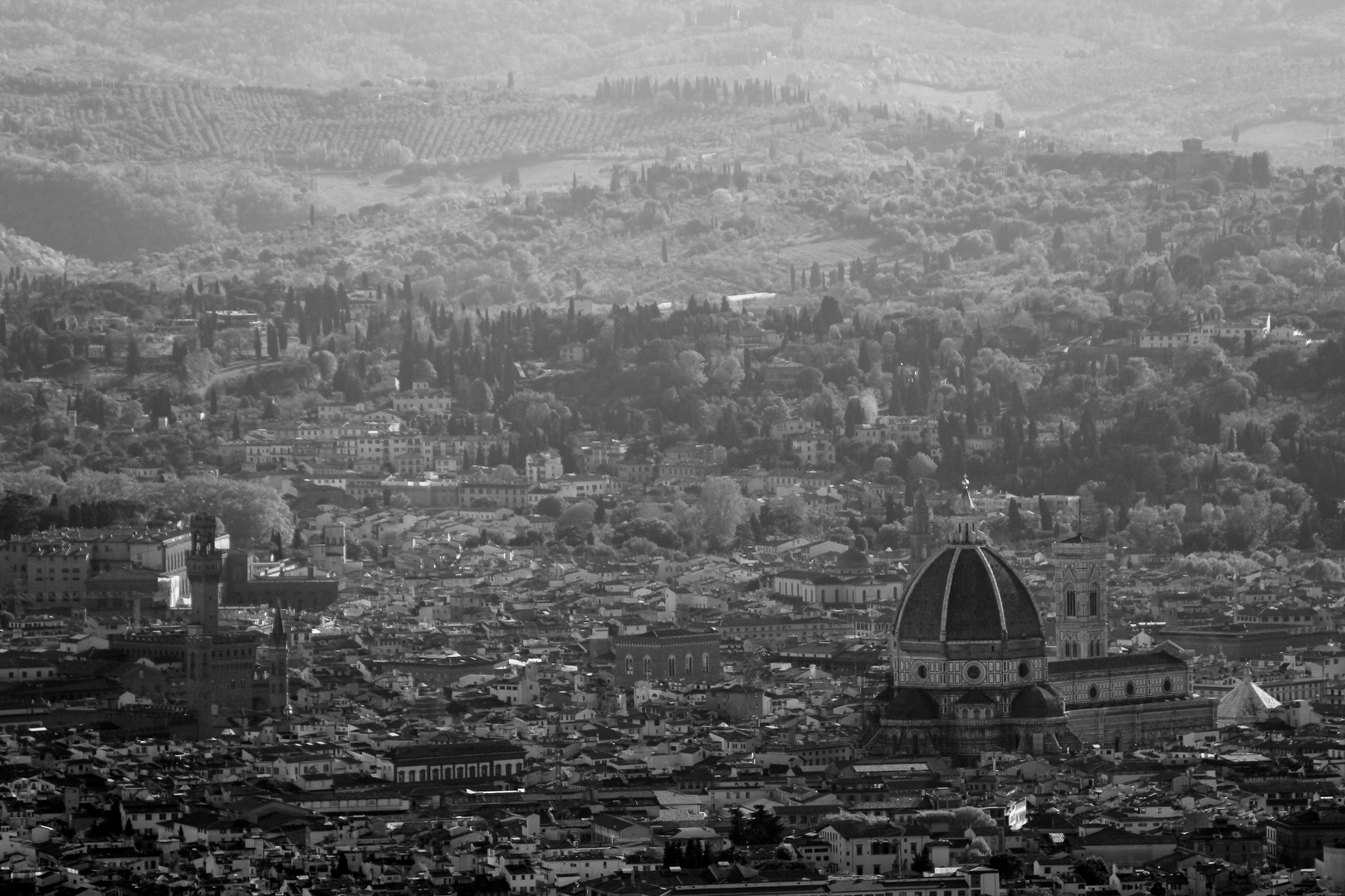 Firenze