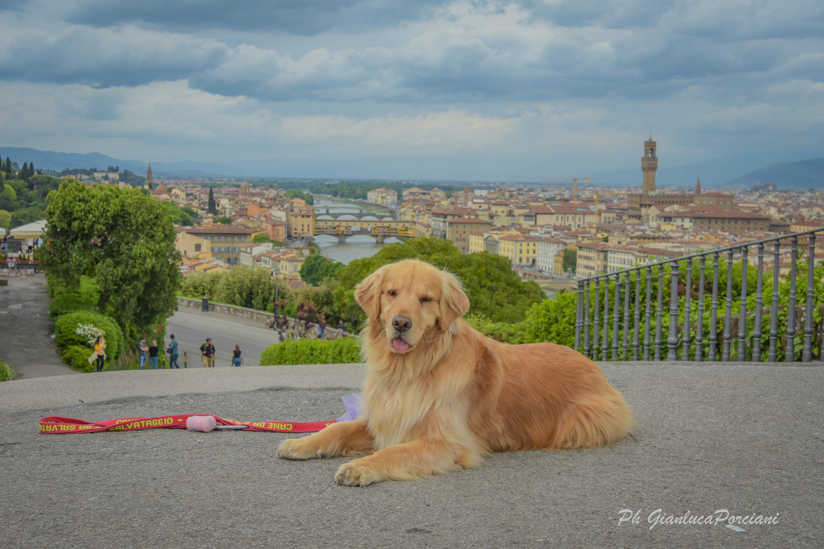 Firenze 