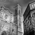 Firenze bn