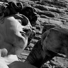 Firenze - David di Michelangelo - Particolare