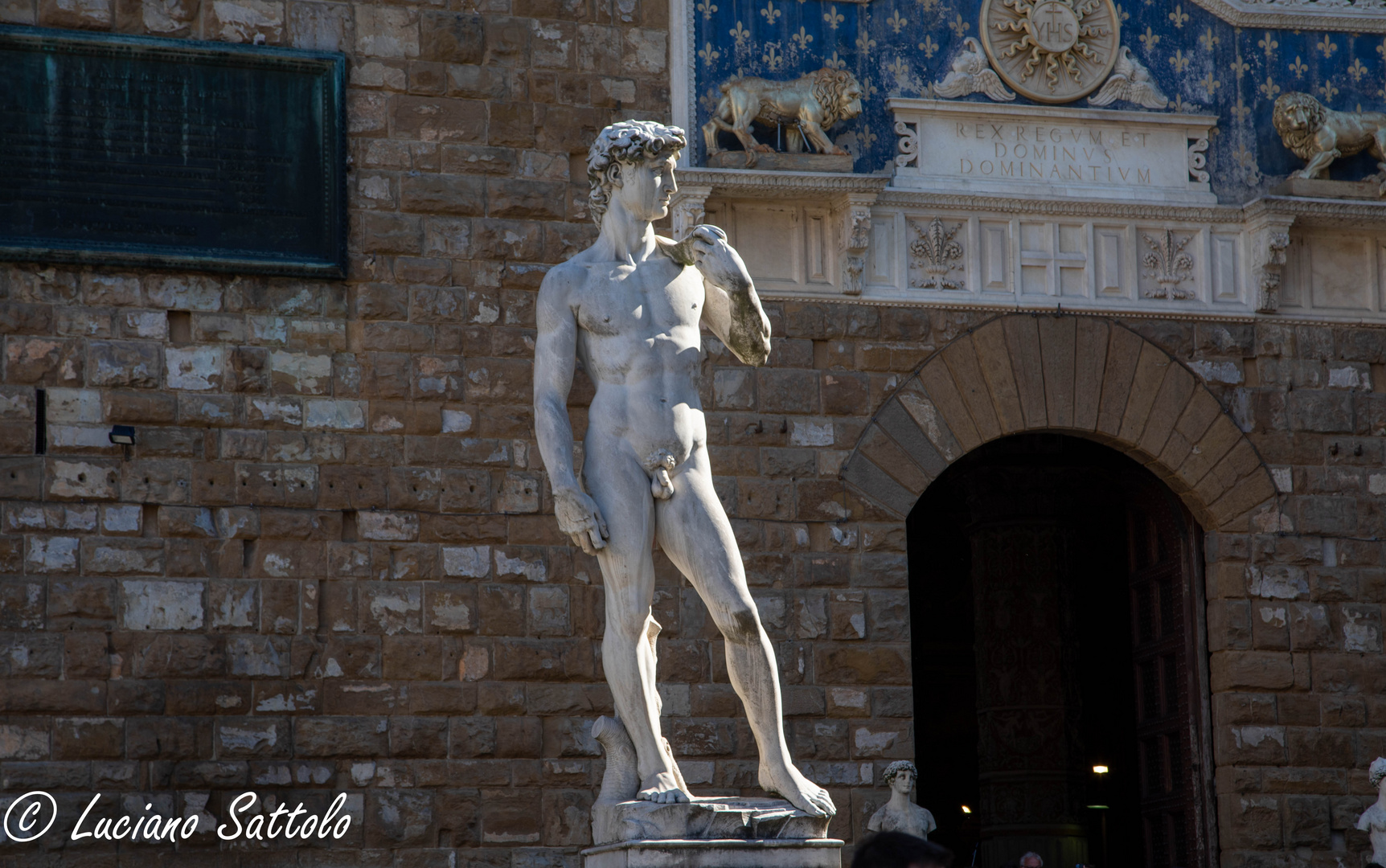 Firenze David Michelangelo (Copia)