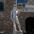 Firenze David Michelangelo (Copia)