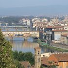 Firenze