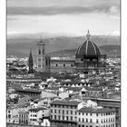 Firenze