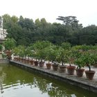Firenze -Giardino dei Boboli