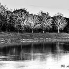 FIRENZE.  IL FIUME ARNO