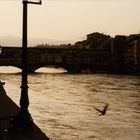 Firenze - Lungarno degli Acciaiuoli e Ponte Vecchio