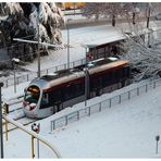 Firenze neve in città 02