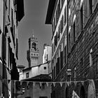 Firenze ....scorci della mia città 01