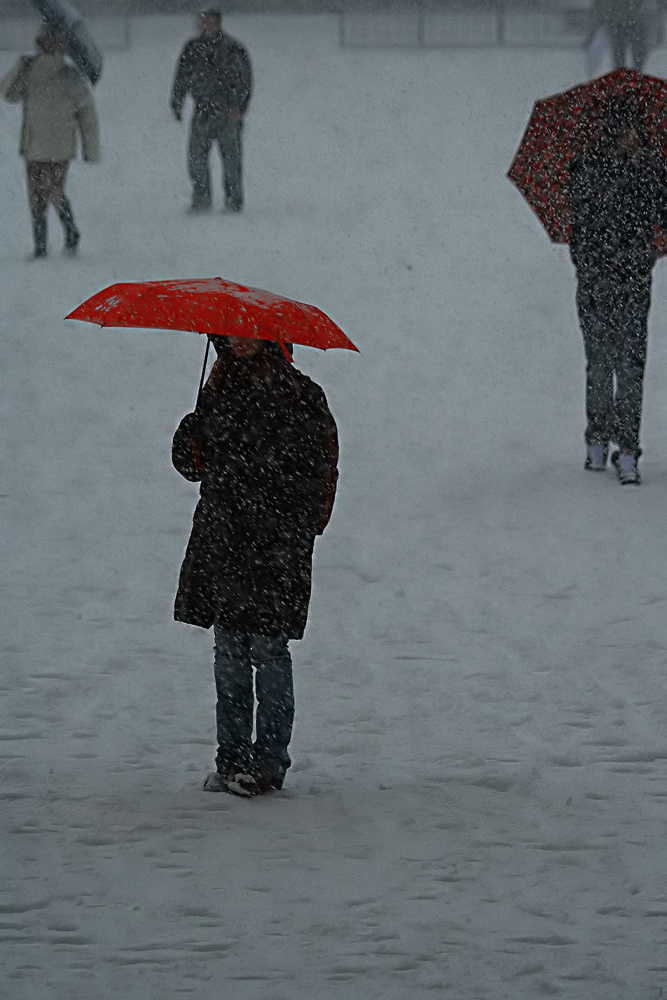 Firenze sotto la neve